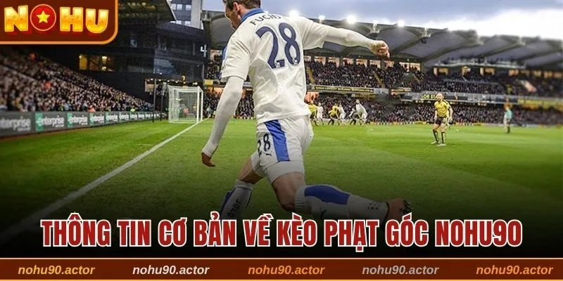 Thông tin cơ bản về kèo phạt góc Nohu90
